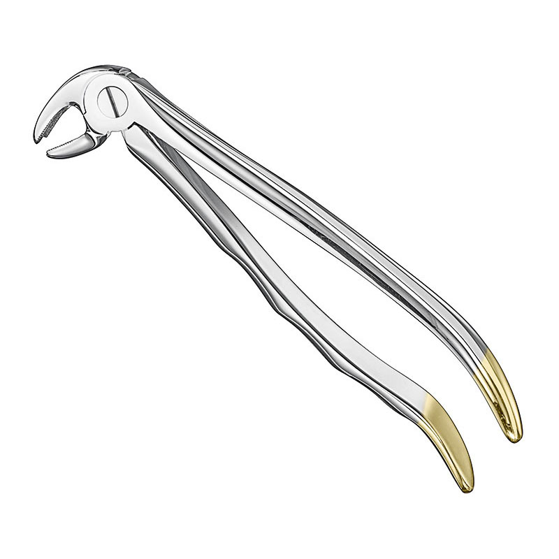 Extracting forceps, anat.