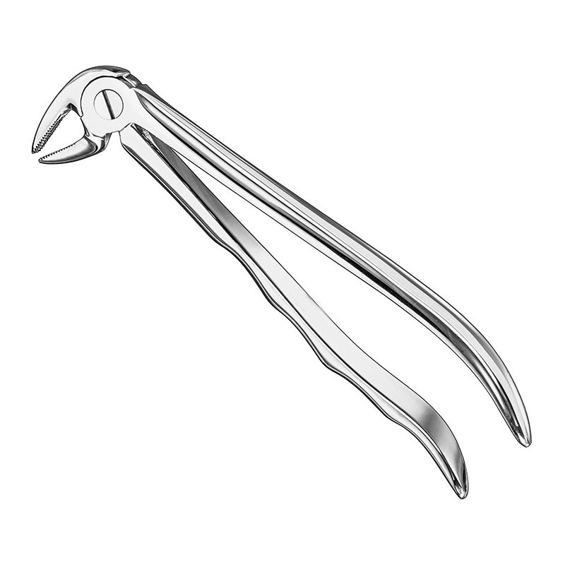 Extracting forceps, anat.