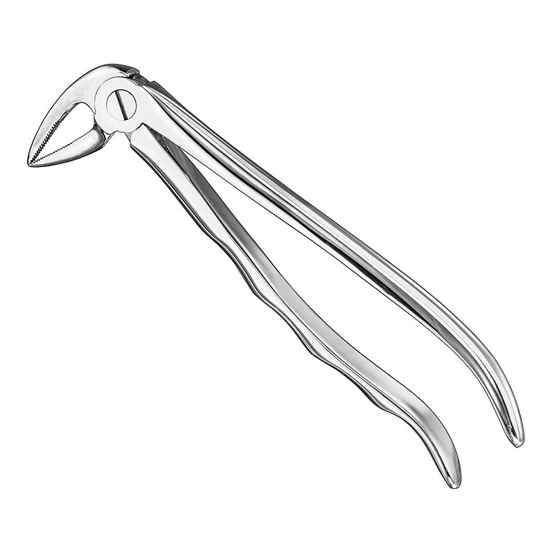 Extracting forceps, anat.