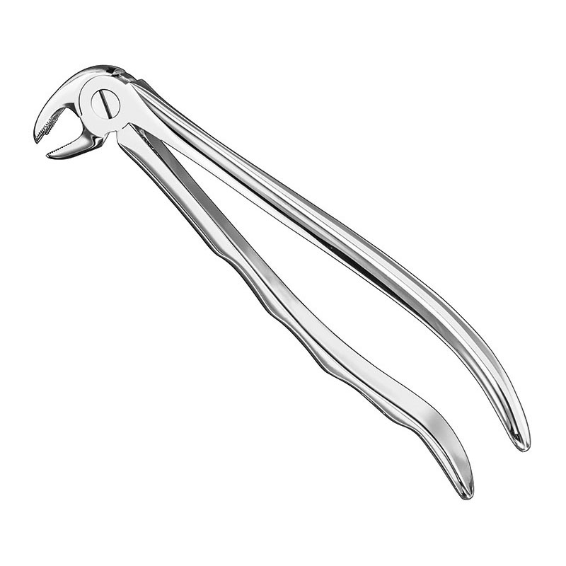 Extracting forceps, anat.