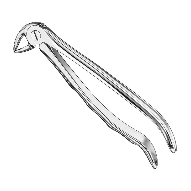 Extracting forceps, anat.