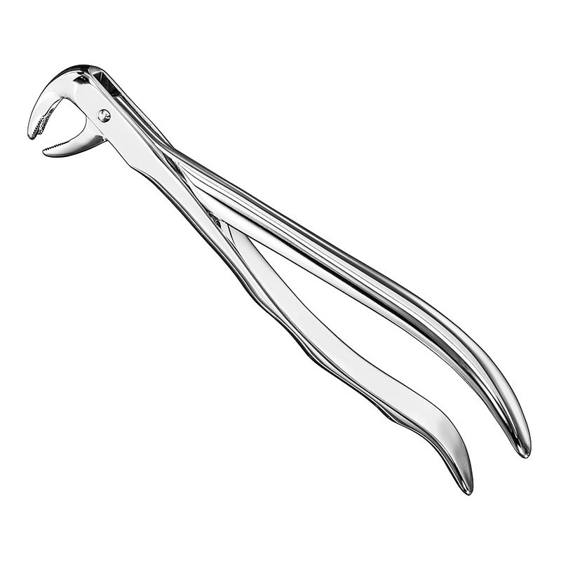 Extracting forceps, anat.